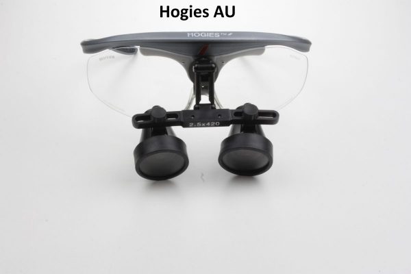 Hogies/ AU 2.5x420